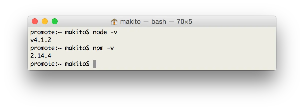 Node.js 與 NPM 的版本